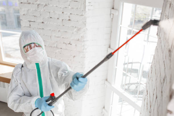 Best Flood Damage  in Westlake Village, CA