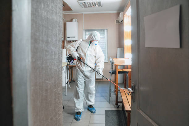 Westlake Village, CA Mold Removal Company