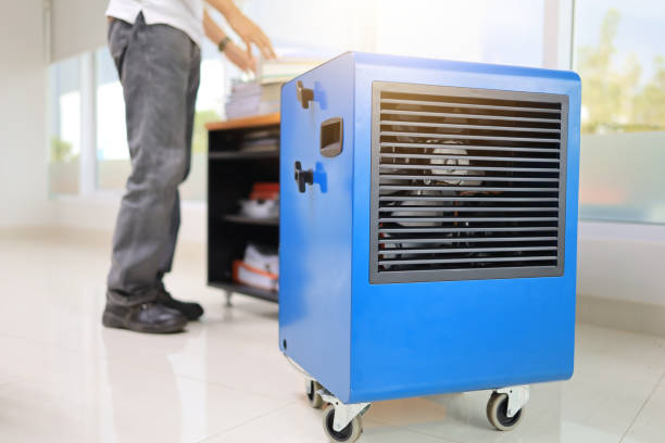 Mold Documentation for Insurance Claims in Westlake Village, CA